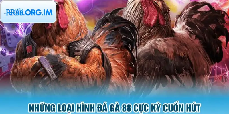 Các giải đấu đá gà 88 được chú ý nhất