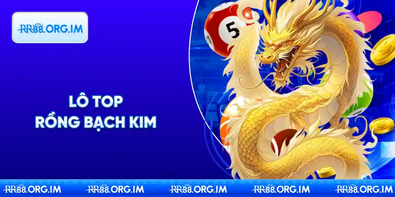 Lô Top Rồng Bạch Kim – Phương Pháp Chơi Lô Đề Thắng Lớn