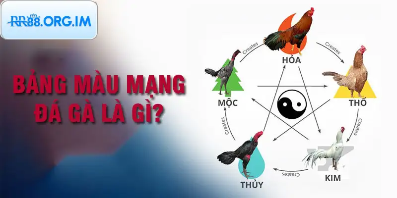 Ý nghĩa của màu mạng gà đá trong các trận đấu